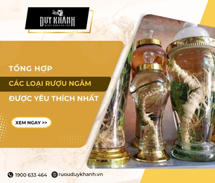 Tổng hợp các loại rượu ngâm phổ biến