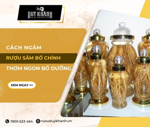 Cách ngâm rượu sâm Bố Chính tươi đơn giản hiệu quả