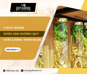 Cách ngâm rượu sâm đương quy