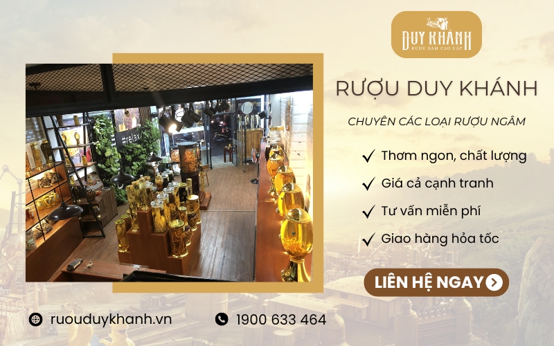 Rượu Duy Khánh chuyên cung cấp các loại rượu ngâm chất lượng, giá tốt hàng đầu