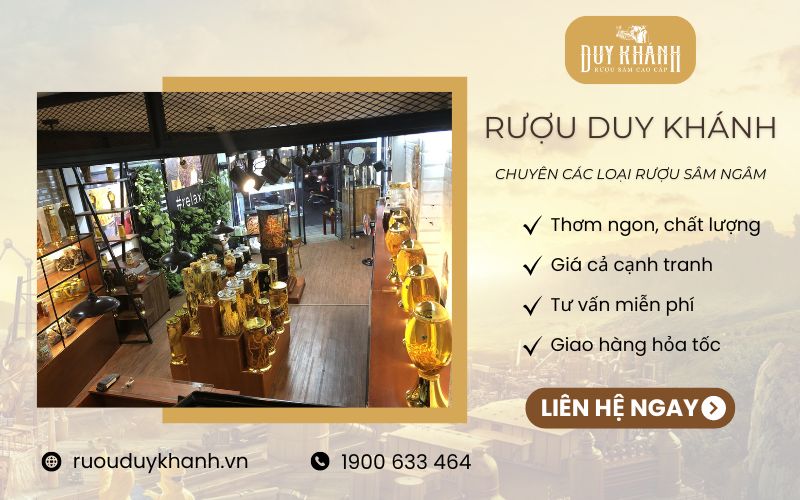 Rượu Duy Khánh – Nhà cung cấp rượu Sâm ngâm chất lượng cao