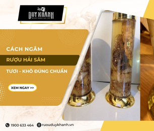 Cách ngâm rượu hải sâm tươi khô chuẩn