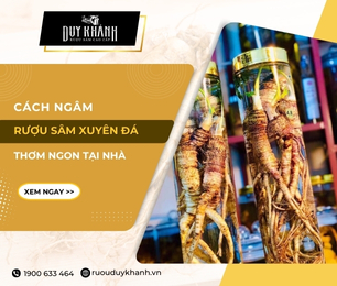 Cách ngâm rượu sâm đá - Xuyên Đá đơn giản tại nhà