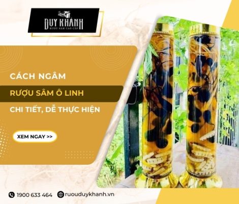 Cách làm sâm Ô Linh ngâm rượu chuẩn tại nhà