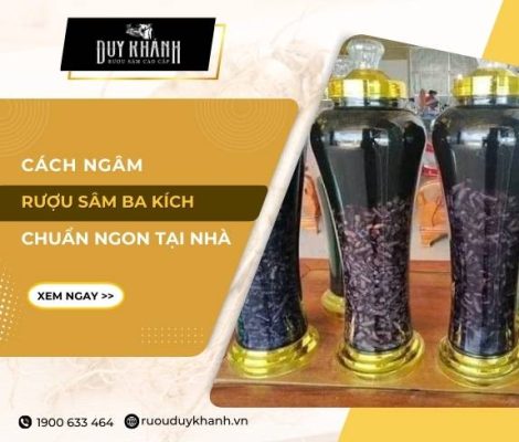 Cách ngâm rượu sâm ba kích chuẩn vị tại nhà