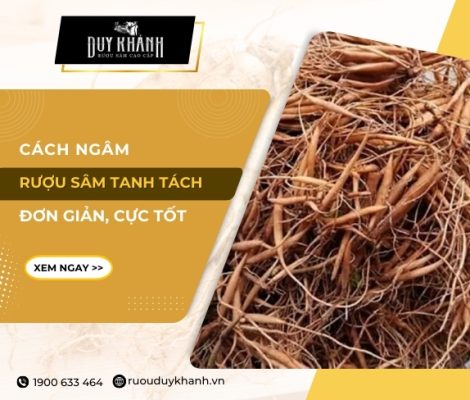 Cách ngâm rượu sâm tanh tách đơn giản tại nhà