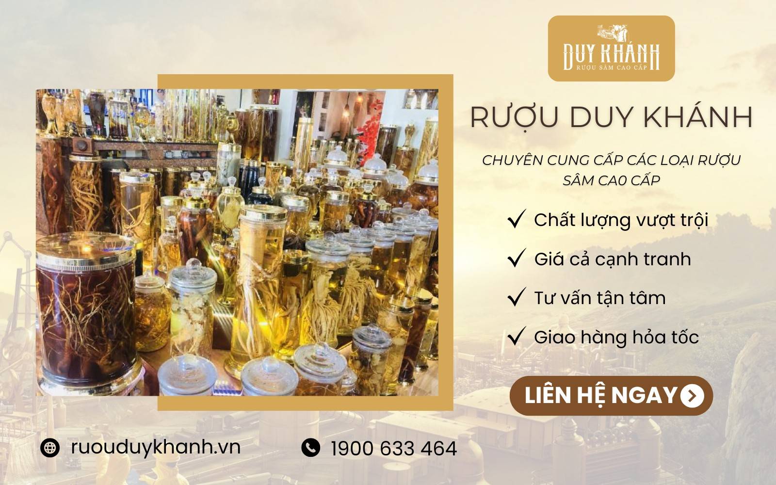 Rượu Duy Khánh chuyên cung cấp các loại rượu sâm chất lượng cao, giá tốt