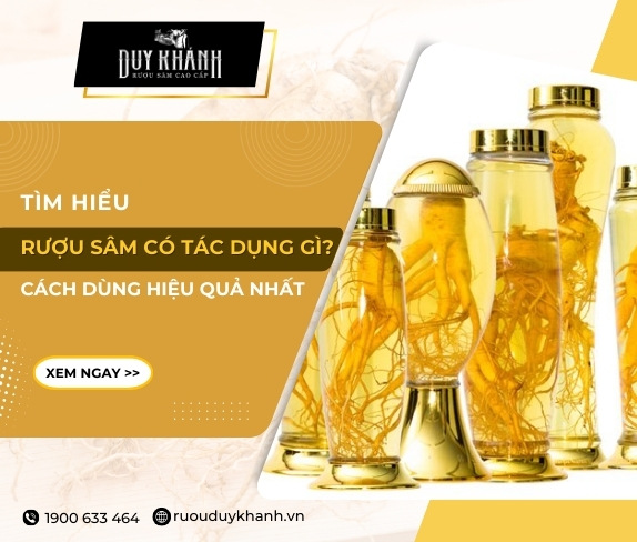 Công dung của nhân sâm ngâm rượu - Cách sử dụng rượu sâm hiệu quả