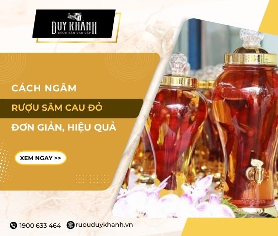 Hướng dẫn cách ngâm rượu cây sâm cau đơn giản tại nhà