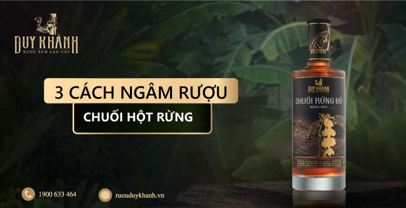 3 cách ngâm rượu chuối hột rừng