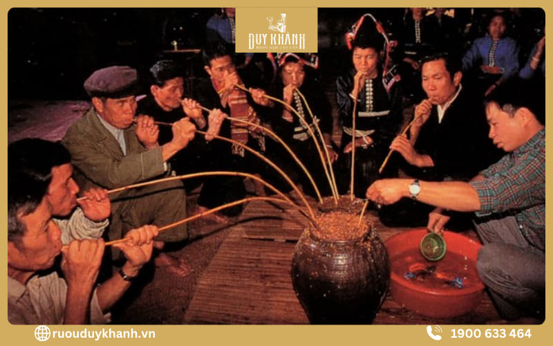 Có thể dùng nước suối tự nhiên hoặc nước đóng chai khi thưởng thức rượu