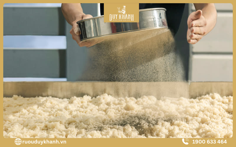 Lên men rượu là quá trình chuyển hóa đường glucozo, fructozo thành rượu ethanol