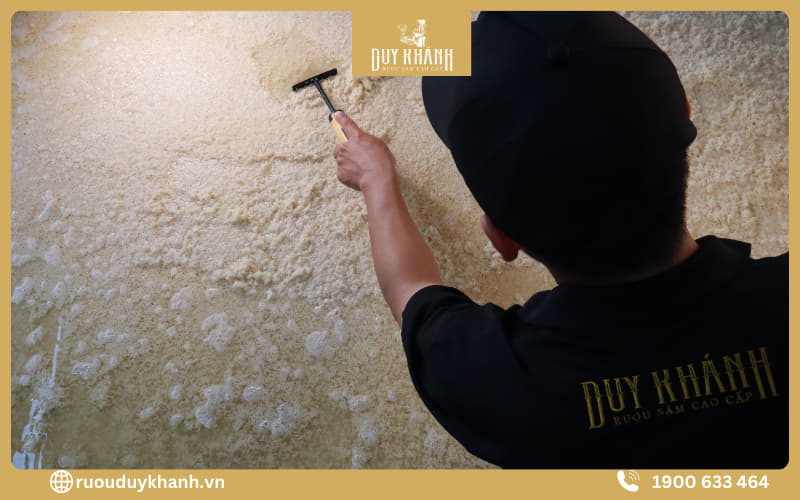Quy trình lên men rượu có tính ứng dụng trong nhiều ngành công nghệ khác nhau